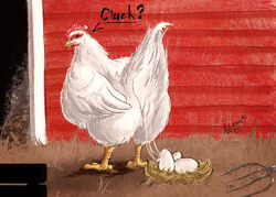 2012 animal_genitalia avian bird chicken cloaca egg egg_laying english_text farm female feral karukuji nest pussy_juice solo text white_feathers