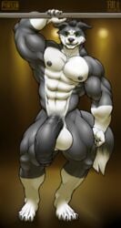 abs anthro balls biceps black_hair border_collie canine claws dog filut fur furry green_eyes hair half-erect huge_balls hyper hyper_penis kimbyfox male male_only mammal muscles muscular muscular_male nipples nude nude_male pecs penis pirun signature solo solo_male uncut vein