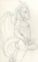 ass caribou_(artist) dragon erection holding_penis male nude penis sketch solo