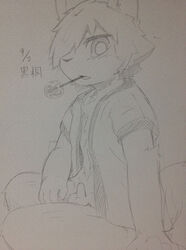 balls big_eyes bottomless clothing hair humanoid_penis kemono looking_at_viewer male male_only monochrome penis shirt sirotae_konnta sitting sketch solo