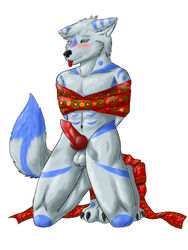 1boy animal_genitalia anthro balls blush bondage bound bow canine canine_penis christmas erection gift holidays howlfei howlfeiwolf kneeling knot male male_only mammal nude penis presenting ribbons sheath solo tongue wolf