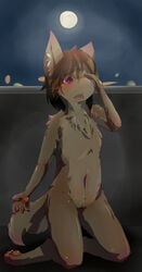 anthro blush brown_hair canine female flat_chested fox fur hair kemono long_hair mammal mikazuki162 moon night nude orange_fur pink_eyes pussy solo