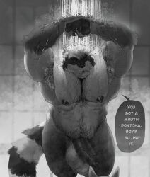 2024 anthro anthro_only armpit_hair arms_above_head black_and_white body_hair dialogue erebonbon genitals hi_res looking_down_at_another male male_only mammal monochrome muscular penis procyonid raccoon shower solo thick_penis water wet