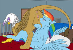 69 2015 anus avian backlash91 beak bed bird blue_fur blush brown_fur cunnilingus duo equine female feral friendship_is_magic fur gilda_(mlp) gryphon hair horse inside interspecies mammal multicolored_hair my_little_pony on_bed oral pegasus pony purple_eyes pussy pussy_juice rainbow_dash_(mlp) raised_tail saliva sex spread_wings vaginal_penetration wings yellow_eyes yuri