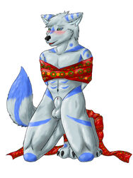 1boy anthro balls blush bondage bound bow canine gift howlfei howlfeiwolf kneeling male male_only mammal nude presenting ribbons sheath solo white_background wolf