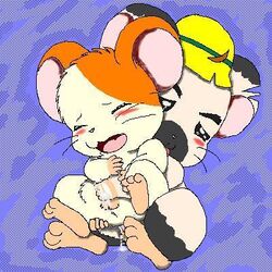 age_difference anal blush boss_(hamtaro) cum cum_in_ass cum_in_hand cum_inside duo gay hamster hamtaro hamtaro_(series) male mammal masturbation messy nyantarou rodent sex size_difference