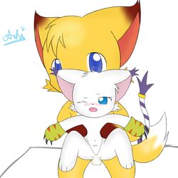 anthro bandai canine crystaltail digimon duo feline feline female fox gatomon male mammal penis pussy sitting straight string