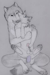 2015 anal anal_insertion anal_sex anus balls canine dildo double_dildo duo feeldoe female feral fox from_behind insertion male mammal paper-wings pegging penetration penis pussy sex sex_toy sheath spread_legs spreading straight wolf