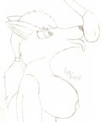 anthro balls boar boar_king breasts canine disembodied_penis duo female fox inherit_the_earth:_quest_for_the_orb kneeling lapsa_heartlocke male mammal musk nude penis porcine rhene sketch sniffing solo_focus straight tongue tongue_out