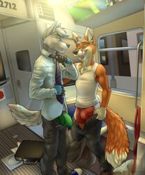 anthro boner bulge canine clothing duo erection flaccid fox male male_only mammal multiple_males penis_outline public public_transportation subway underwear undressing vallhund vpl wolf yaoi