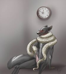 2014 alu_rat ambiguous_gender anthro anthro_on_feral asphyxiation bestiality clock closed_eyes cute death duo erection eyewear feral fur glasses hybrid interspecies knot male male_focus mammal nyxapnea penis rat reptile rodent scalie size_difference skunk slim snake strangling