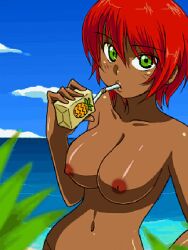 beach breasts clothing completely_nude dark-skinned_female dark_skin day drinking female female female_only green_eyes jaggy_lines large_breasts navel nipples nude ocean oekaki outdoors red_hair short_hair sky solo tanned