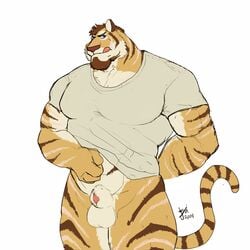 balls biceps big_muscles bin_(artist) bottomless facial_hair feline goatee graydiel licking licking_lips looking_at_viewer male male_only mammal muscles penis penis_tip sheath solo standing tiger tongue tongue_out