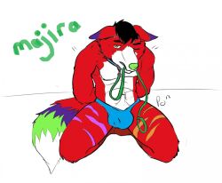 anthro anthro_only bdsm black_hair buff bulge bulge_focus collar ears_down fox furry furry_only green_nose inviting_to_sex lead majira_strawberry male male_only multicolored_fur muscular muscular_male no_humans popufur red_body red_fur speedo speedo_only submissive submissive_male tagme white_background yiff youtube youtuber