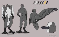 2022 absurd_res accipitrid accipitriform anthro ark ark_survival_evolved ass avian balls beak big_penis bird claws digital_media_(artwork) erection feathers foreskin genitals hi_res humanoid_genitalia humanoid_penis invalid_tag looking_at_viewer male model_sheet mythological_creature mythology neyyrie penis simple_background solo standing syncron tail video_games white_body white_feathers wings