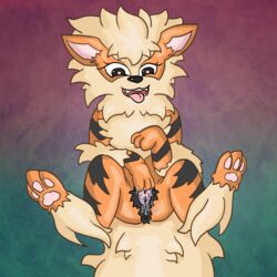 anoddscot arcanine female feral fur hair mammal nintendo pokemon pokemon_(species) presenting pussy solo spreading video_games