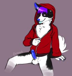 1boy anthro blue_penis border_collie canine canned_(artist) dog erection fur furry hair hoodie male male_only mammal penis pink_eyes purple_hair solo vein