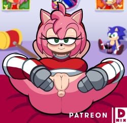 alternate_version_available amy_rose anthro anus ass d-nix female furry hedgehog sega sonic_(series) tagme