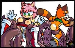 amuzoreh amy_rose anal anal_sex anus breasts clothing double_penetration duo female marine_the_raccoon panties panties_aside penetration pussy sega sonic_(series) tentacle underwear vaginal_penetration vaginal_penetration