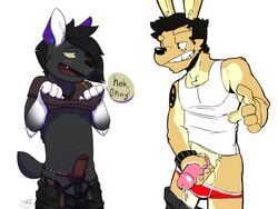 2014 anthro blush canine clothing coyote cum duo ear_piercing erection fur furry furry_only fvorte fvorte_(character) gay lagomorph male male_only mammal navel nipples penis piercing plain_background precum presenting rabbit underwear zawmg