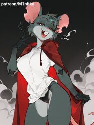 Touille (Poppy Playtime) Rule 34 Image