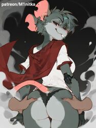 Touille (Poppy Playtime) Rule 34 Image