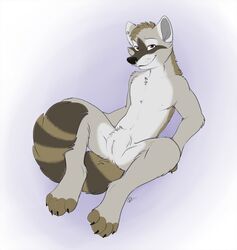 4_toes anthro anus black_nose brown_fur claws cuntboy ear_piercing fur furry furry_tail grey_fur intersex intersex_only kwik looking_at_viewer mammal nose_piercing nude open_eyes piercing pussy raccoon solo spread_legs spreading tail