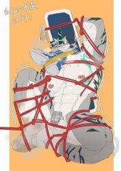 Booru post from rule34.xxx
