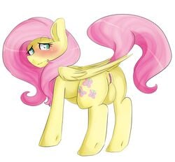 2014 ass blush cutie_mark equine female feral fluttershy_(mlp) friendship_is_magic green_eyes hair hi_res looking_at_viewer looking_back mammal mane my_little_pony oddends pegasus pink_hair plain_background pussy rear_view shy solo white_background wings