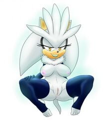 1girls anthro bimbo breasts female full_color gloves hedgehog hourglass_figure legwear lipstick looking_at_viewer mammal nipples pussy ravnic rule_63 sega silver_the_hedgehog simple_background solo sonic_(series) sonic_the_hedgehog_(series) stockings vagina