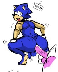 amy_rose anal anal_sex balls blue_fur femboy furry futa_is_bigger futa_on_male futanari hedgehog intersex male mammal penetration penis penis_size_difference precum rokiloki sega small_penis sonic_(series) sonic_the_hedgehog