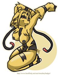 electivire female furry nintendo pokemon tagme