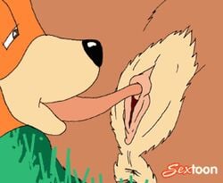 1boy 1girls animated anthro anus ass bear breasts brown_fur clitoris cunnilingus disney duo erect_nipples female fur furry furry_only grass hat kit_cloudkicker licking looking_pleasured lowres male mammal on_back oral orange_fur outdoors pussy rebecca_cunningham sextoon small_image spread_legs straight talespin testicles uncensored