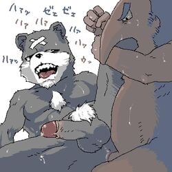 anal anal_sex animal_crossing anus artist_request balls bear curt_(animal_crossing) cyrano_(animal_crossing) furry gay male male/male male_only nintendo penis straight_hair ursid yaoi year_request