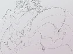 anus ass claws digitigrade dragon duo erection feral hindpaw horn human looking_back lying macro male male_focus mammal paws penis presenting presenting_hindquarters scalie size_difference smaug sprout the_hobbit toes wings wyvern