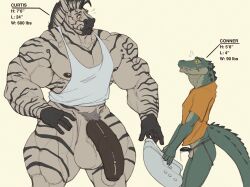 2024 anthro atheltic_cup biceps big_muscles big_penis black_nipples black_penis black_stripes bottomless character_bio character_name clothed clothing conner_(oldshep) crocodile crocodilian crocodylid curtis_(oldshep) daddy deltoids duo equid equine fur genitals gloves_(marking) green_body green_scales grey_hair hair hi_res jockstrap_down larger_anthro larger_male male male_only mammal manly markings mohawk muscular muscular_anthro muscular_male nipples oldshep orange_clothing orange_shirt orange_topwear pecs penis penis_size_difference pubes reptile scales scalie serratus shirt short_sleeves size_difference skinny_anthro skinny_male small_penis smaller_anthro smaller_male striped_body striped_fur stripes surprised tail_spines tank_top topwear vein veiny_penis white_body white_clothing white_fur white_shirt white_tank_top white_topwear yellow_sclera zebra