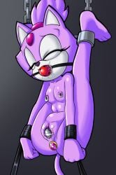 anthro ball_gag blaze_the_cat bondage bound breasts buttplug chains dildo domestic_cat felid feline felis female forehead_gem fours_(artist) gag gem hi_res jewel_buttplug leg_spreader mammal nipple_clamp plug_(sex_toy) purple_body restraints sega sex_toy small_breasts solo sonic_(series) sonic_the_hedgehog_(series) spreader_bar taped_dildo