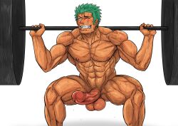 balls bara big_balls big_penis blush destor777 erection green_hair male male_nipples male_only muscular_male nipples nude one_piece penis roronoa_zoro scar