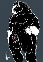 ai_generated balls black_fur blue_eyes draft_horse equine equine_penis feathering horse male_anthro muscular_male nipples novelai nude penis scottish_shire shire tail white_fur