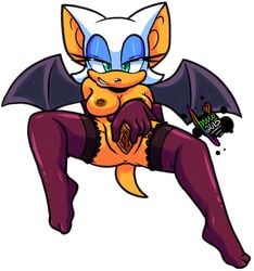 amuzoreh bat breasts female furry gloves green_eyes lingerie nipples pussy rouge_the_bat seductive smile sonic_(series) spread_pussy stockings wings