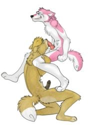 anthro canine canine dingo duo fellatio fox gay husky knot leggothebooty male mammal oral penis sex sucking