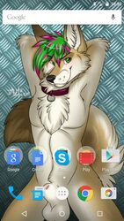 1boy 2014 anthro balls blush candy canine collar coyote fur hair j-a-l-m-u lollipop looking_at_viewer male male_only mammal nude phone pose screencap smile solo teeth