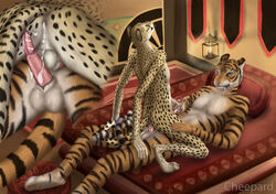 after_sex anal animal_genitalia anthro balls barbs bed blue_eyes candle cheepard cheetah cowgirl_position cum cum_in_ass cum_inside cum_on_hand duo feline feline_penis gay male mammal on_top penis sex straddling tiger wooshell