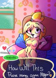 animal_crossing anthro breasts canine dog english_text female fur furry isabelle_(animal_crossing) mammal nintendo nipples nude plump_labia pussy razinoats solo text