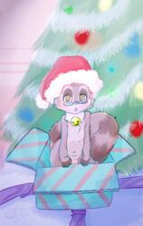 2014 amber_eyes anthro bell blush brown_eyes cainethelongshot chibi christmas christmas_tree collar coon cute eyewear flaccid front_view fur gift glasses haru hat holidays humanoid_penis indoors looking_at_viewer male male_only mammal markings nipples nude nudist open_eyes open_mouth orange_eyes package penis pink_nose puffy raccoon ribbons santa_hat sleepy solo tree uncut