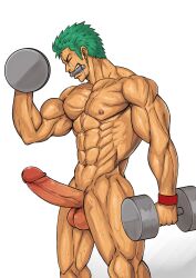 balls bara big_balls big_penis blush destor777 erection green_hair male male_nipples male_only muscular_male nipples nude one_piece penis roronoa_zoro scar