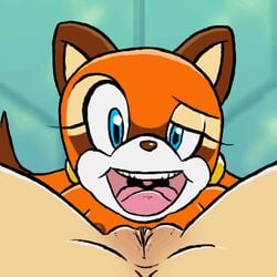 2014 animated anthro blue_eyes breasts cunnilingus dorigreen duo female fur licking looking_at_viewer lying mammal marine_the_raccoon nipples nude open_mouth oral pussy raccoon sega sex smile sonic_(series) spread_legs spreading teeth tongue tongue_out vaginal_penetration yuri