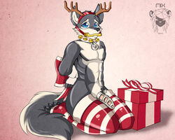 2014 anthro antlers bell blue_eyes bondage bound bow canine chastity chastity_cage chastity_device christmas collar fake_antlers fur furry gag gift girly grey_fur hairband heart holidays horn keeper kneeling legwear llmixll looking_at_viewer male male_chastity mammal nude penis red_footwear red_legwear solo striped striped_footwear striped_legwear thigh_socks toeless_socks white_footwear white_legwear wolf