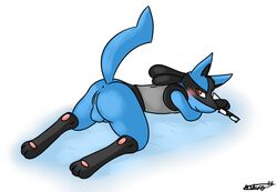 2014 akiru_cario anthro balls blush cuntboy eyewear full-package_cuntboy glasses herm hermaphrodite intersex kyoushiro looking_at_viewer lucario lying male male_only maleherm multi_genitalia nintendo on_front penis plain_background pokemon pokemon_(species) pussy raised_tail signature solo video_games