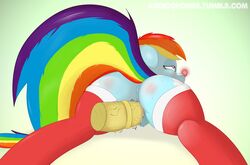 anus ass blush booponies christmas cum cum_inside cutie_mark disembodied_penis duo equine female feral friendship_is_magic hair holidays horse male mammal multicolored_hair my_little_pony penetration penis pussy rainbow_dash_(mlp) socks solo_focus sweat thighhighs vaginal_penetration